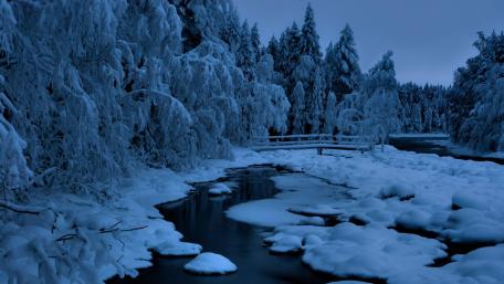 Enchanting Winter Blue Hour Scene wallpaper