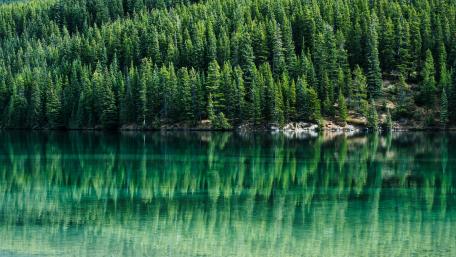 Serene Reflection in a Green Paradise wallpaper
