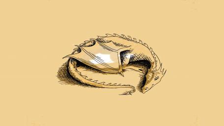 Resting Dragon in Minimalist Art Style wallpaper