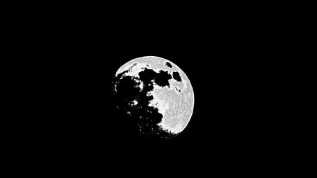 Midnightmoon wallpaper