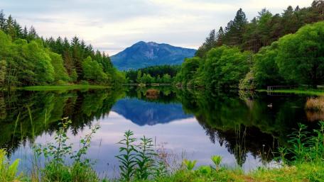 Serene Mountain Reflections in a Tranquil Lake wallpaper
