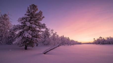 Enchanting Purple Winter Landscape wallpaper