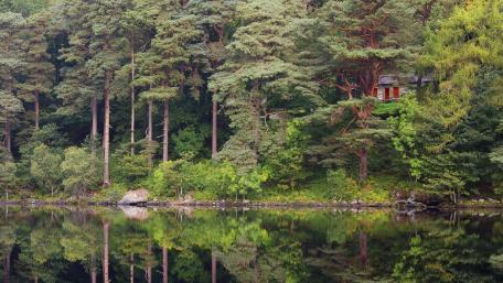 House among the trees near the lake wallpaper