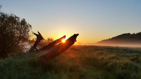 Golden Sunset Over Tranquil Meadow and Misty Field wallpaper