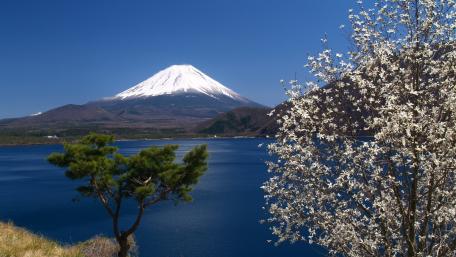 Oishi Park wallpaper