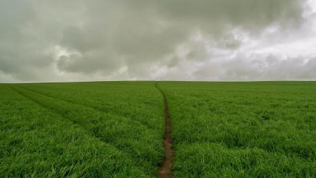 Lush Green Grassland Beneath Cloudy Skies wallpaper