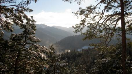 Winter Wonderland in the Valley Beauty of Snowy Landscapes and Majestic Peaks wallpaper