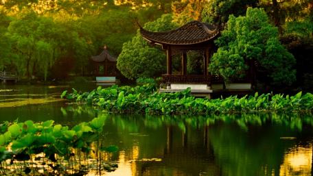Tranquil Reflections in a Zen Garden wallpaper