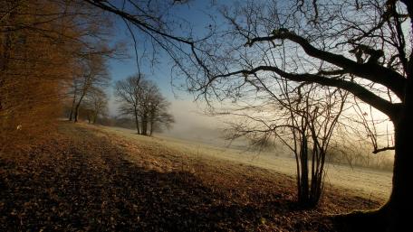 Serene Autumn Hillside Landscape wallpaper