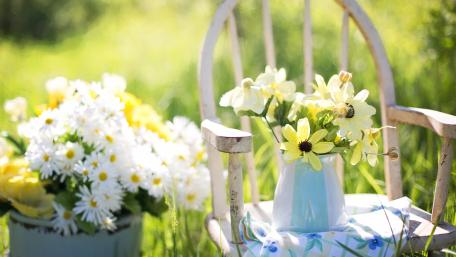 Charming Garden Chair with Vibrant Blossoms wallpaper