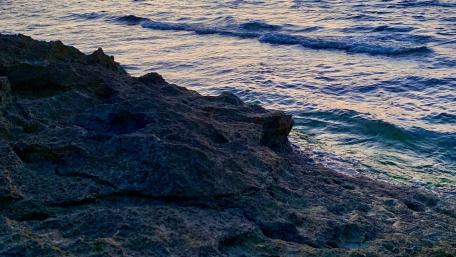 Sea wallpaper