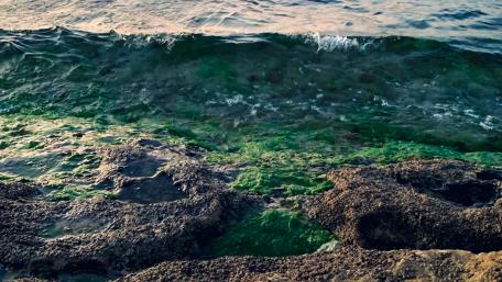 Sea wallpaper