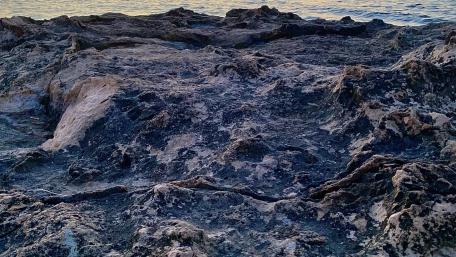Sea wallpaper