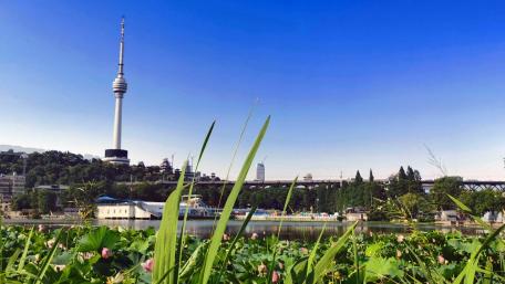 Vibrant Cityscape Under Clear Blue Sky wallpaper