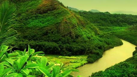 Lush Tropical River Landscape wallpaper