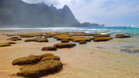 Serene Rocky Shoreline by the Sea wallpaper
