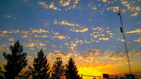 Golden Sunset Over the Distant Trees and Sky wallpaper
