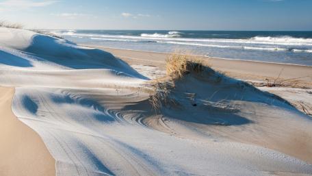 Serene Dunes by the Tranquil Sea wallpaper