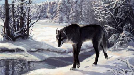 Winter's Wolf in a Snowy Landscape wallpaper