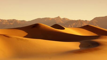 Golden Dunes Embracing Serenity in the Desert Landscape wallpaper