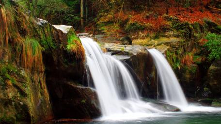 Serene Cascade of Nature's Beauty wallpaper