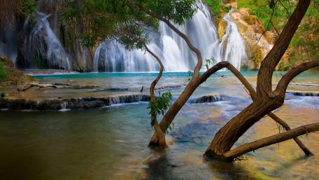 Serene Waterfall Oasis wallpaper