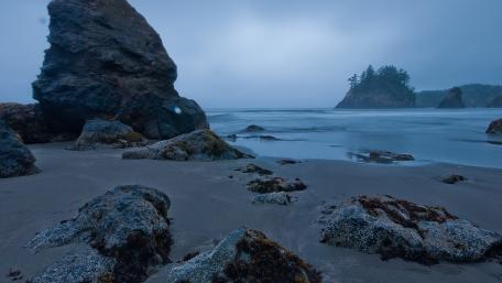 Mysterious Ocean Shoreline at Dusk wallpaper