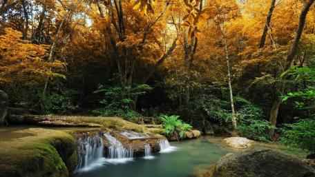 Autumn Serenity in Nature's Embrace wallpaper
