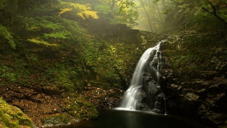 Serene Forest Waterfall Scene wallpaper