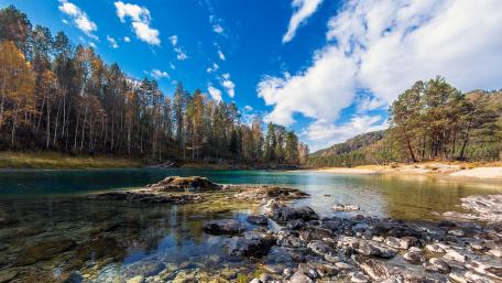 Serenity by the Tranquil Lake Waters wallpaper