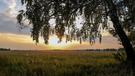 Serene Sunset Over a Golden Field wallpaper