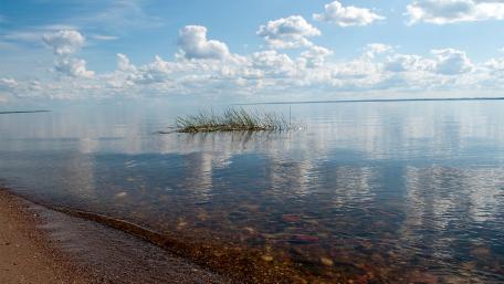 Tranquil Reflections on the Serene Lake Surface wallpaper
