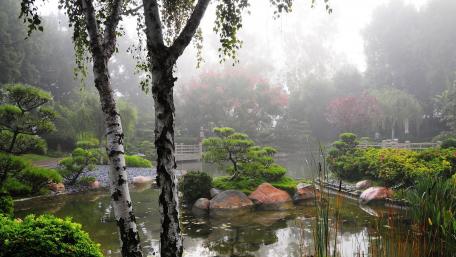 Serene Misty Park Landscape with Tranquil Water Features wallpaper