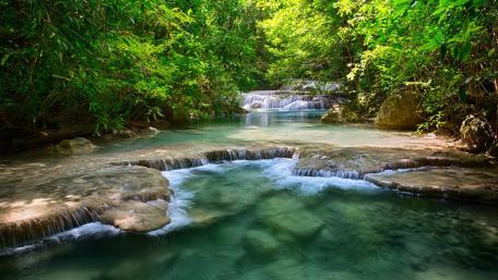 Serene River Chute in Lush Greenery wallpaper