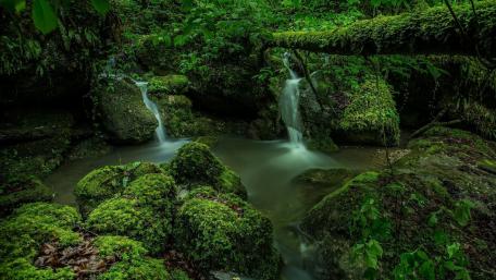 Tranquil Green Waterfall Scene wallpaper