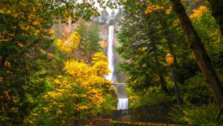 Multnomah Falls wallpaper
