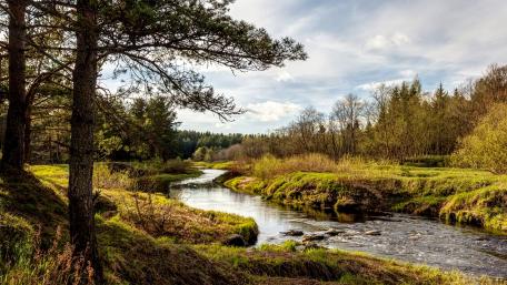 Serene River Landscape in Tranquil Nature Scene wallpaper