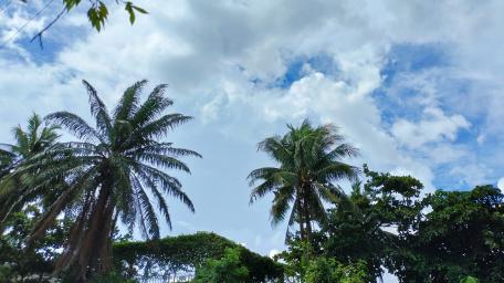 Blue and Cloudy wallpaper