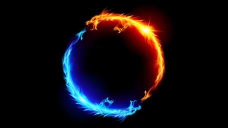 Fiery and Watery Dragons Embrace wallpaper
