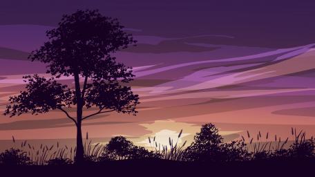 Sunset Serenade in the Savanna wallpaper