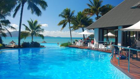 Tropical Paradise by the Poolside wallpaper