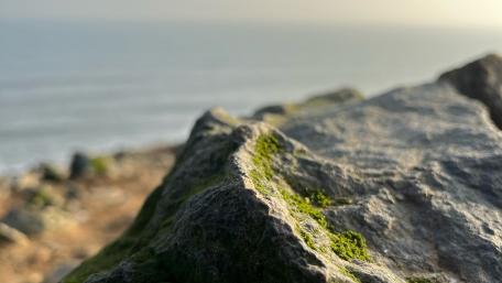 Serene Coastal Rockscape wallpaper