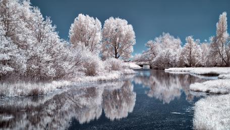 Winter's Serene Reflection in a Frosted Wonderland wallpaper
