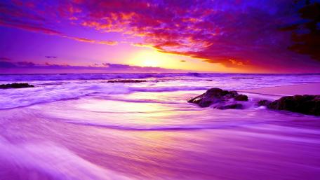 Purple beach sunset wallpaper