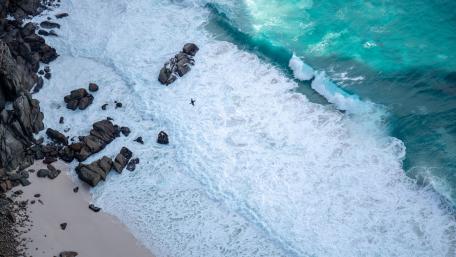 Serene Aerial View of Ocean Waves and Beach Life wallpaper