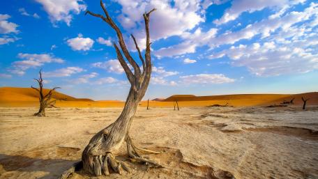 Desolate Beauty of the Desert Sandscape wallpaper