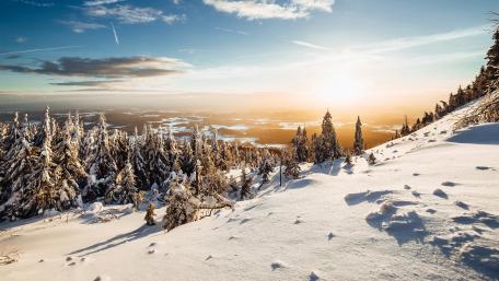 Winter Sunshine Over Snowy Landscape wallpaper