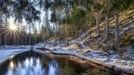 Serenity in Winter's Embrace wallpaper