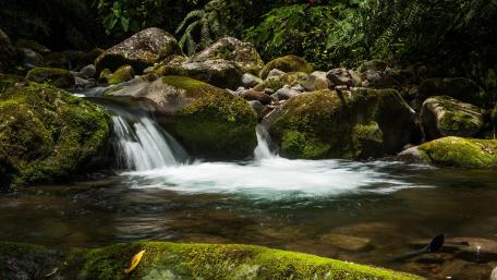 Tranquil Creek Flowing Through Boulder Paradise wallpaper