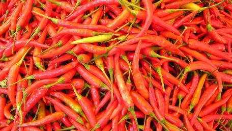 Pepper wallpaper